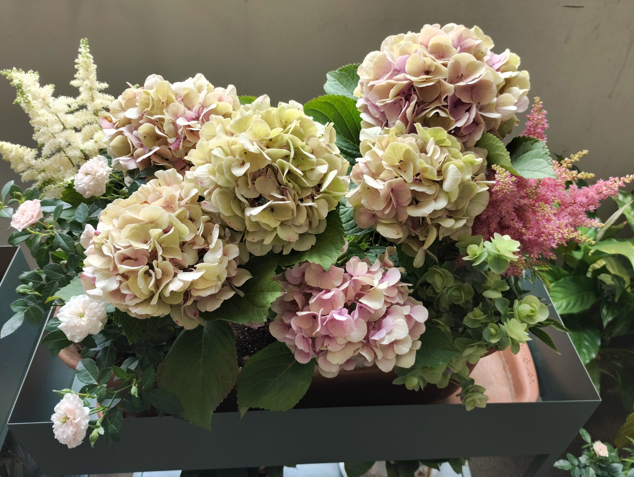 信州産　お花 こんにちは！ FLOWER＆FRENCH 888 HACHIMITSU です！🐝࿆ 〜秋の